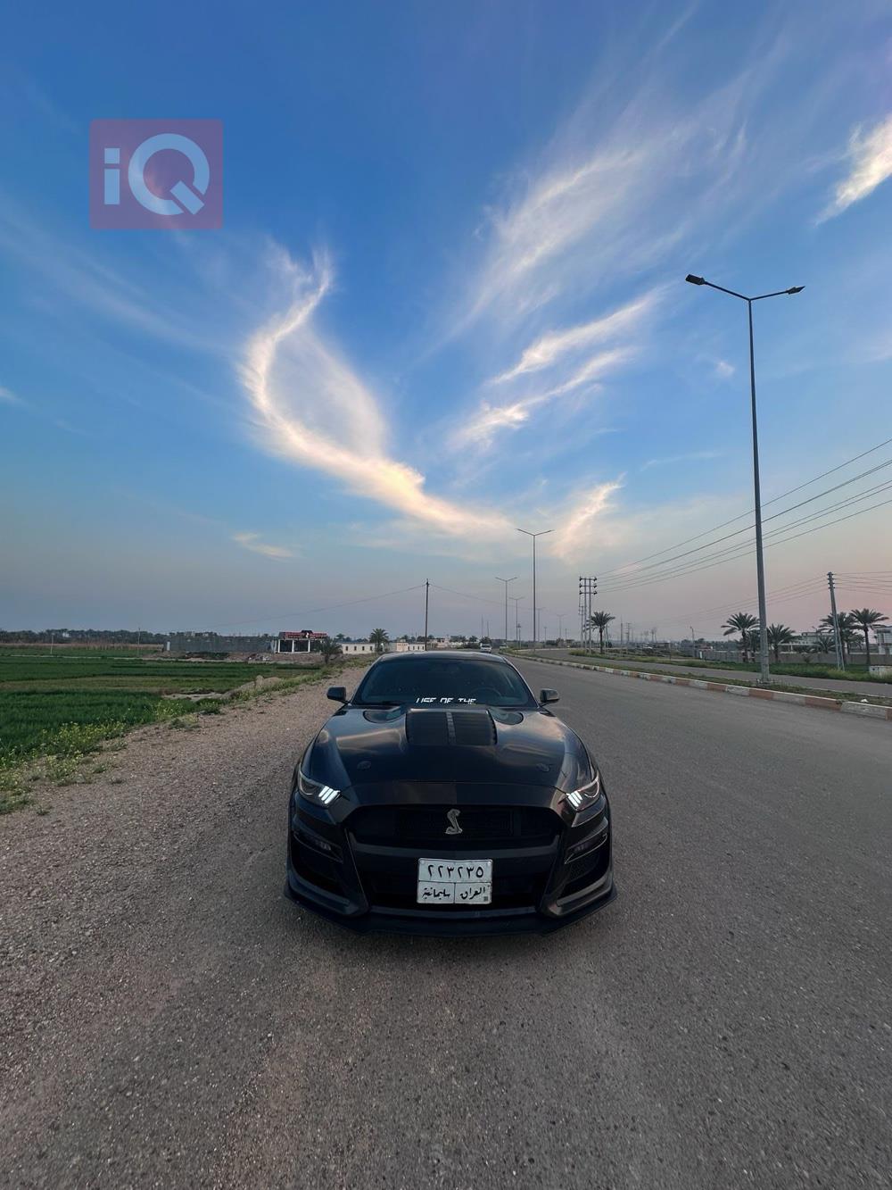 فۆرد مۆستانگ